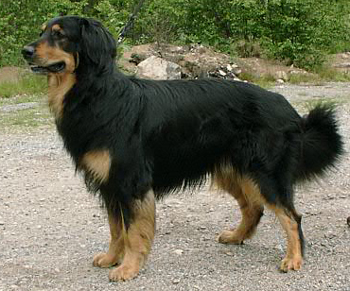 Aga Kahn