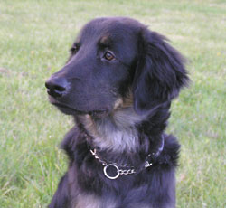 Blixt G, Boss, oktober 2004