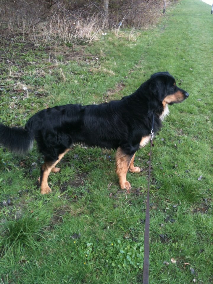 Dallas "Fender", foto Anette Nanberg